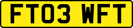 FT03WFT