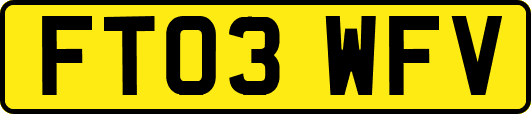 FT03WFV