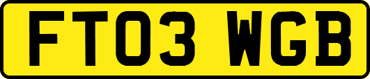 FT03WGB