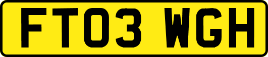 FT03WGH