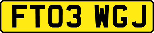 FT03WGJ