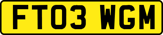 FT03WGM