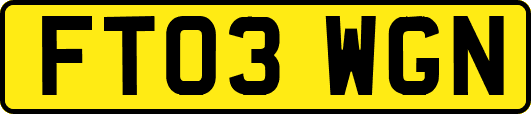 FT03WGN