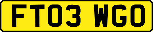 FT03WGO