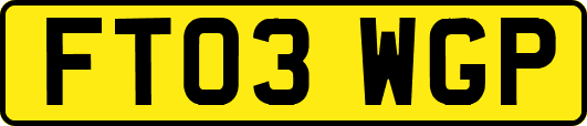 FT03WGP