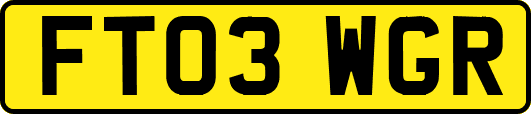 FT03WGR
