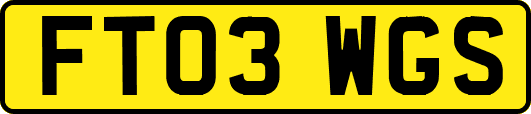FT03WGS