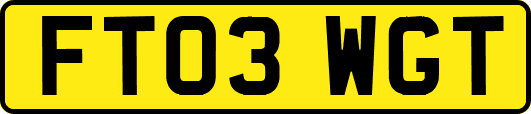 FT03WGT