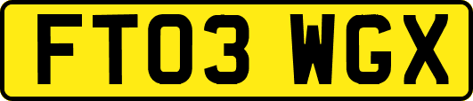 FT03WGX