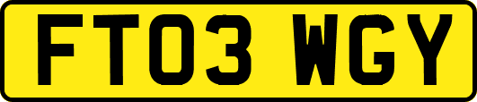 FT03WGY