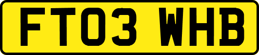 FT03WHB