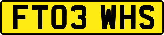 FT03WHS