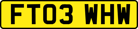 FT03WHW