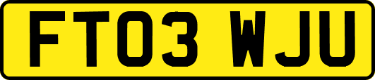 FT03WJU