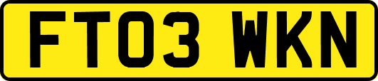 FT03WKN