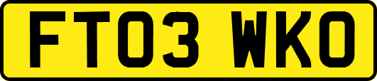 FT03WKO