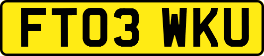 FT03WKU