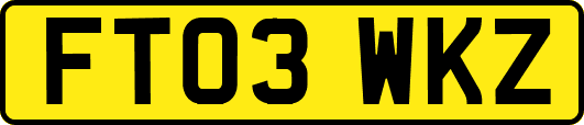 FT03WKZ
