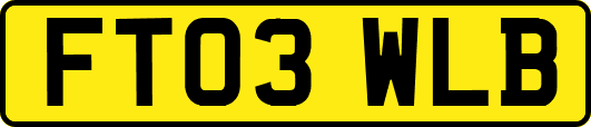 FT03WLB