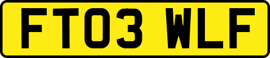 FT03WLF