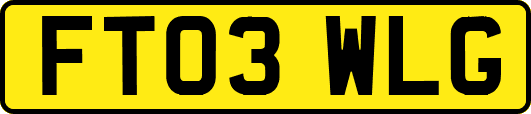 FT03WLG