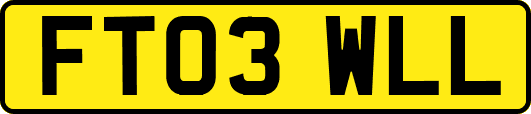 FT03WLL