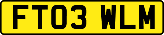 FT03WLM