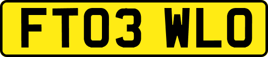 FT03WLO