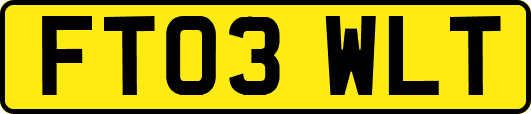 FT03WLT