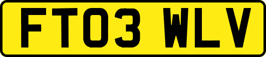 FT03WLV