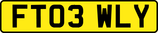FT03WLY