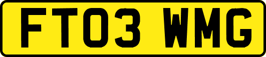 FT03WMG