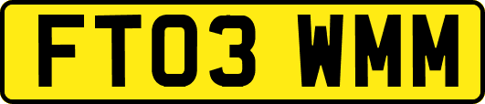 FT03WMM
