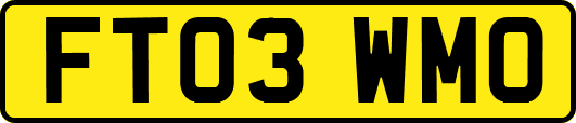 FT03WMO