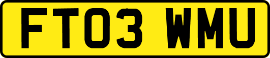 FT03WMU
