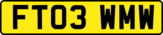 FT03WMW