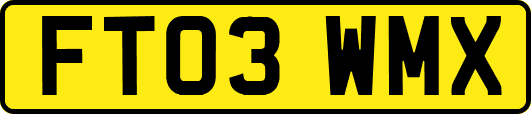 FT03WMX