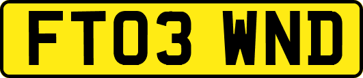 FT03WND
