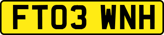 FT03WNH