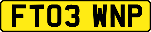 FT03WNP