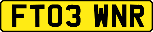 FT03WNR