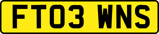 FT03WNS
