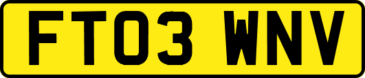 FT03WNV