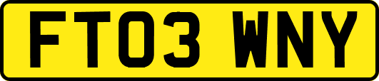 FT03WNY