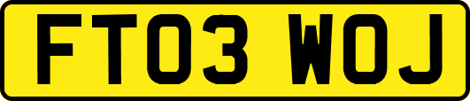 FT03WOJ