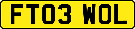 FT03WOL