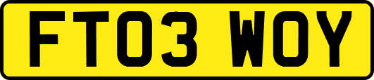 FT03WOY