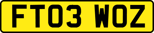 FT03WOZ