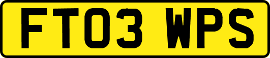 FT03WPS