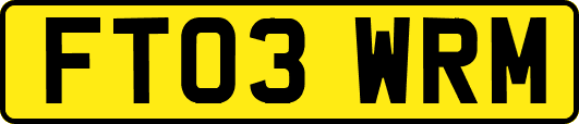 FT03WRM